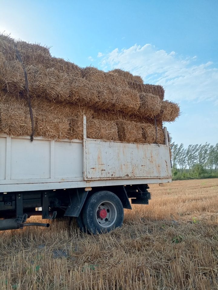 13 000 сум