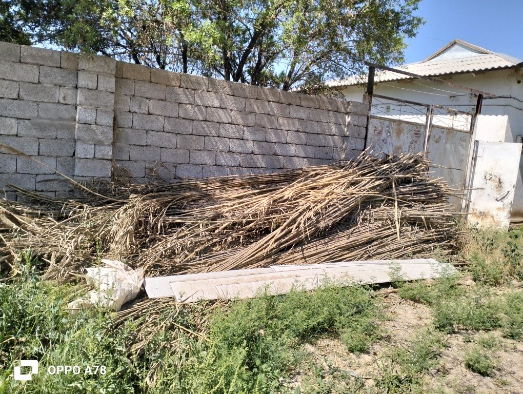 25 000 сум