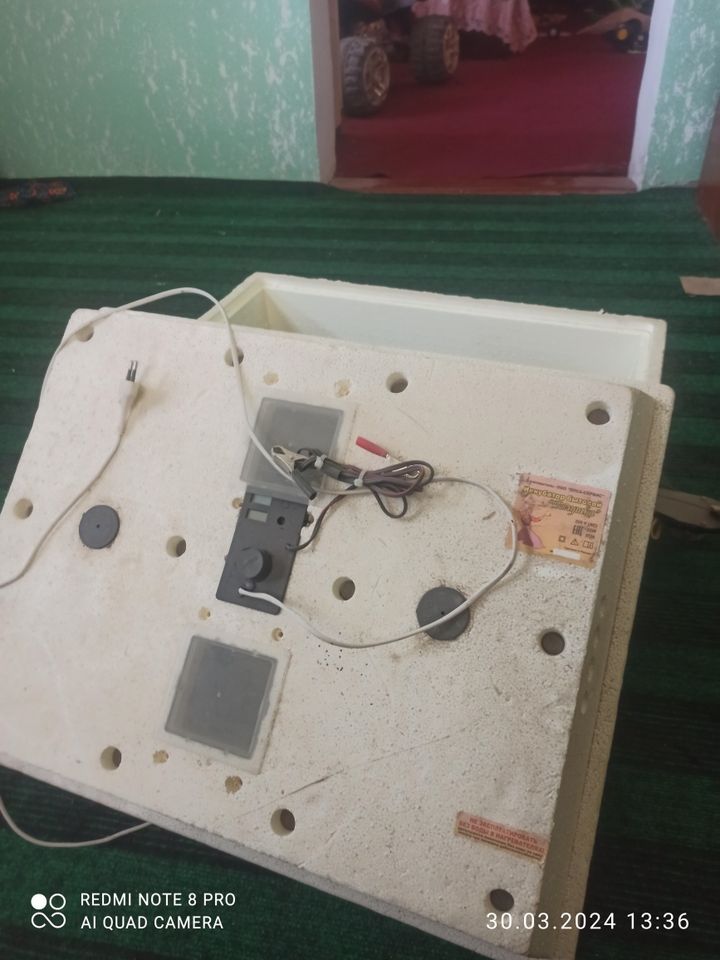 100 USD