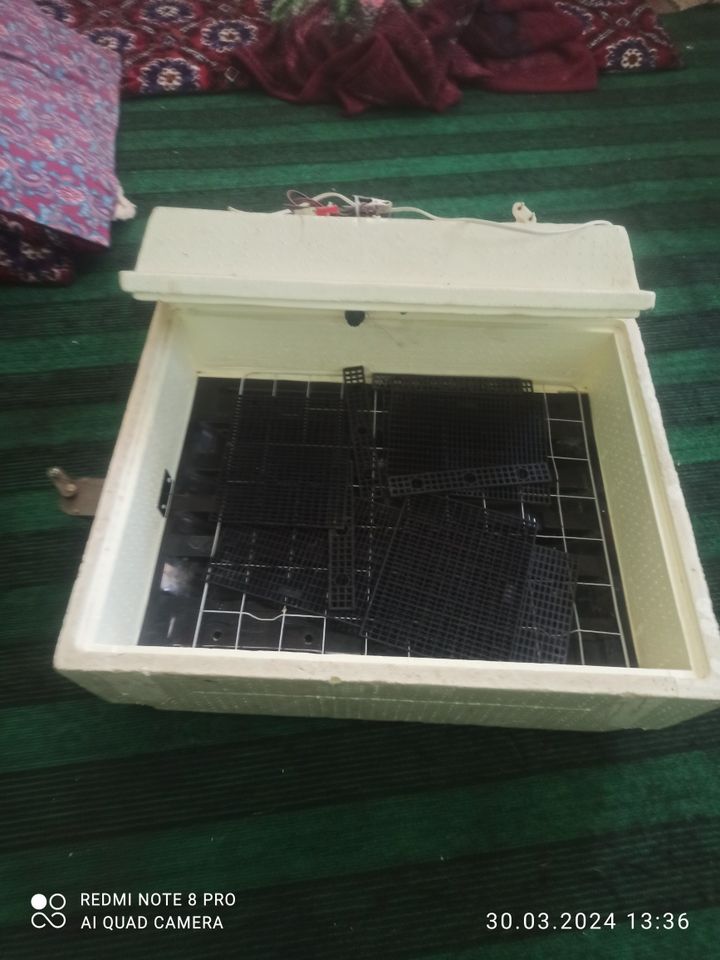 100 USD