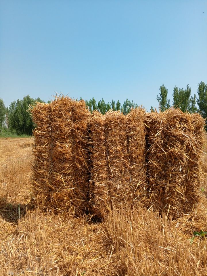 13 000 сум