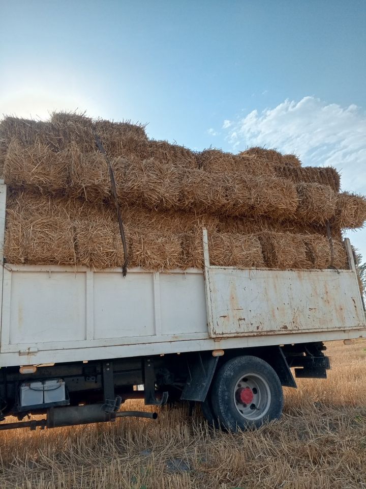 13 000 сум