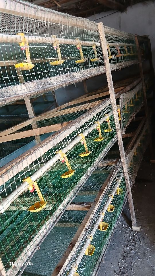 3 500 000 сум