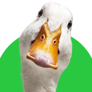 Qushlar